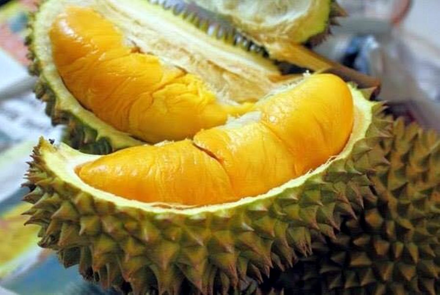 Durian vs Jackfruit
