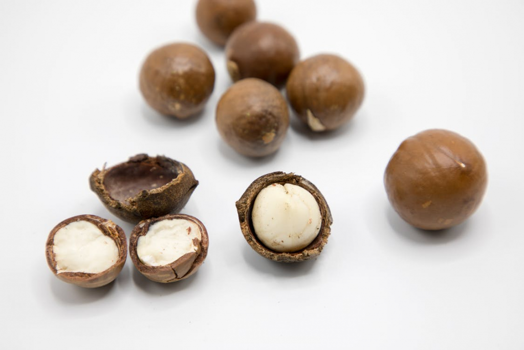 Macadamia Nut Health Benefits